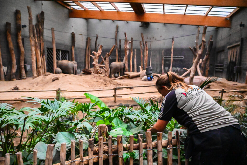 Effectieve werving en selectie Dierenpark Amersfoort groenvoorziening artikel