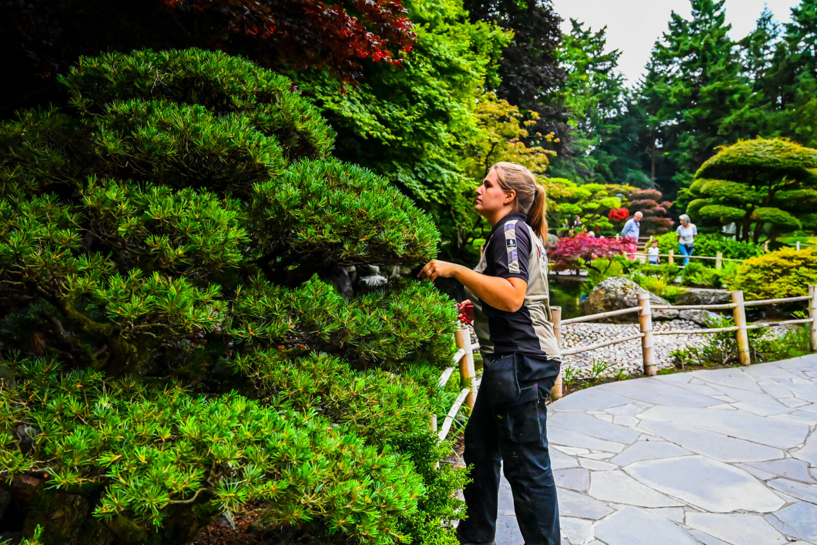 Effectieve werving en selectie: Hovenier in Dierenpark Amersfoort