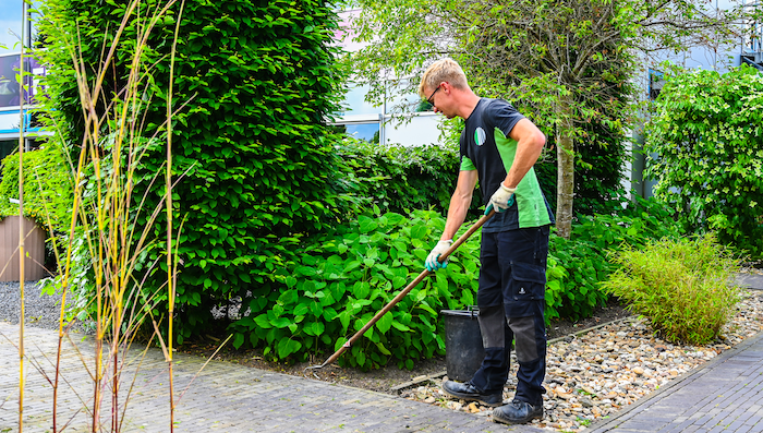 BBL-opleiding hovenier