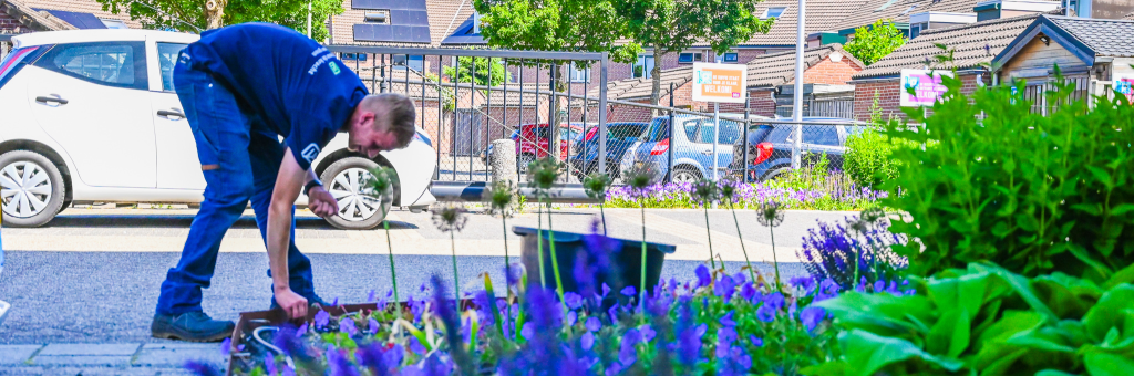 Hovenier onderhoud  in Ederveen
