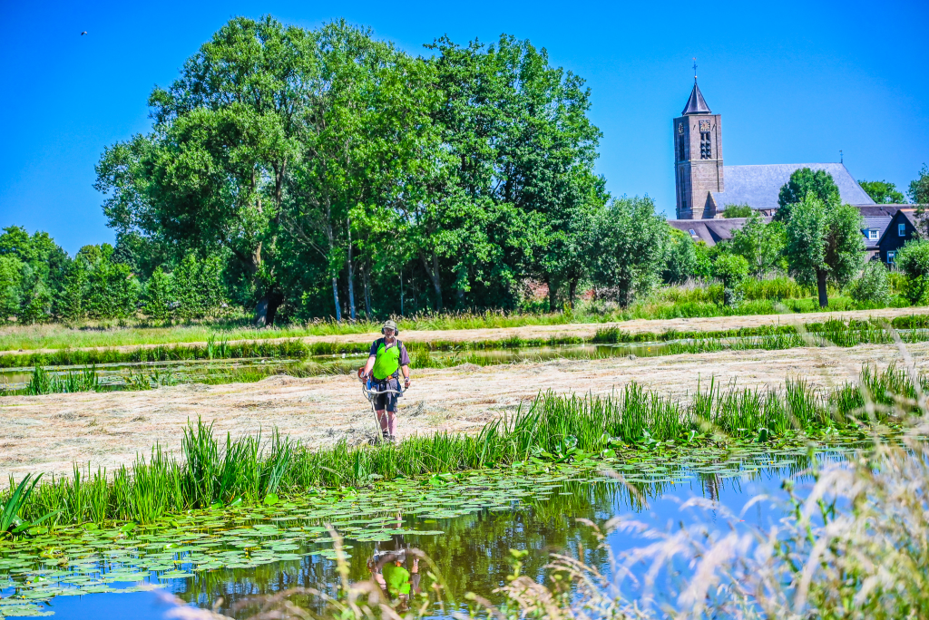 Groenvoorziener vacature: vacatures hendrik ido ambacht. Groenvoorziener aan het bosmaaien