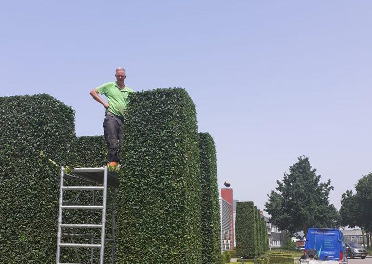 Werken in het groen
