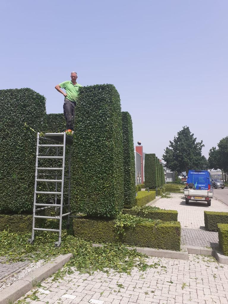Vacature hovenier landgoed