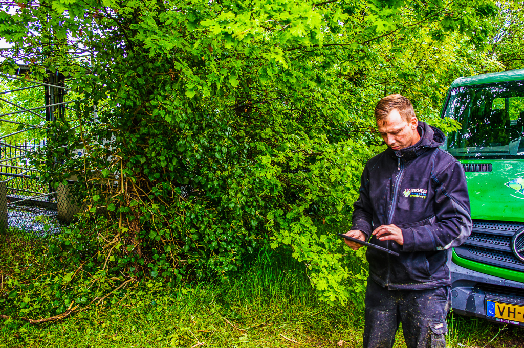 Vacatures voorman groen