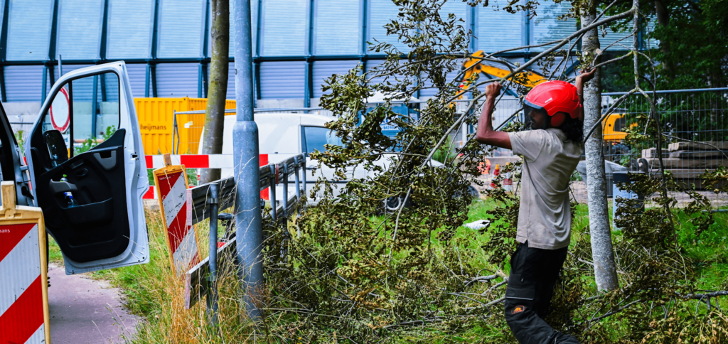 Zomer bijbaan in Dordrecht in het groen