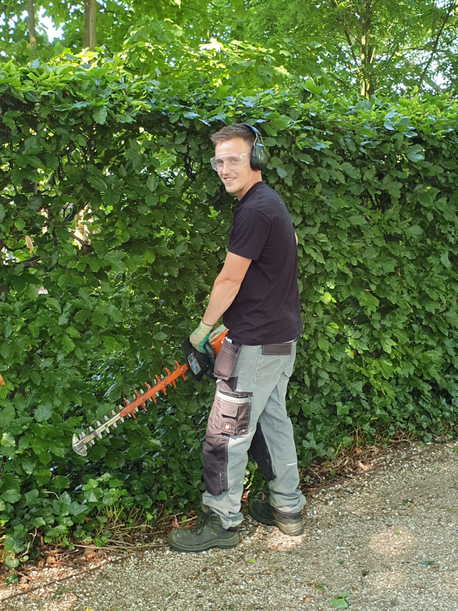 hovenier