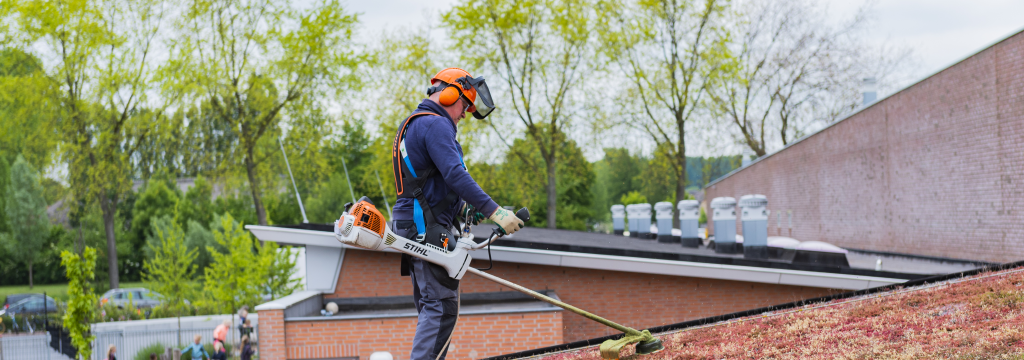 Hovenier Daktuinen in Groningen
