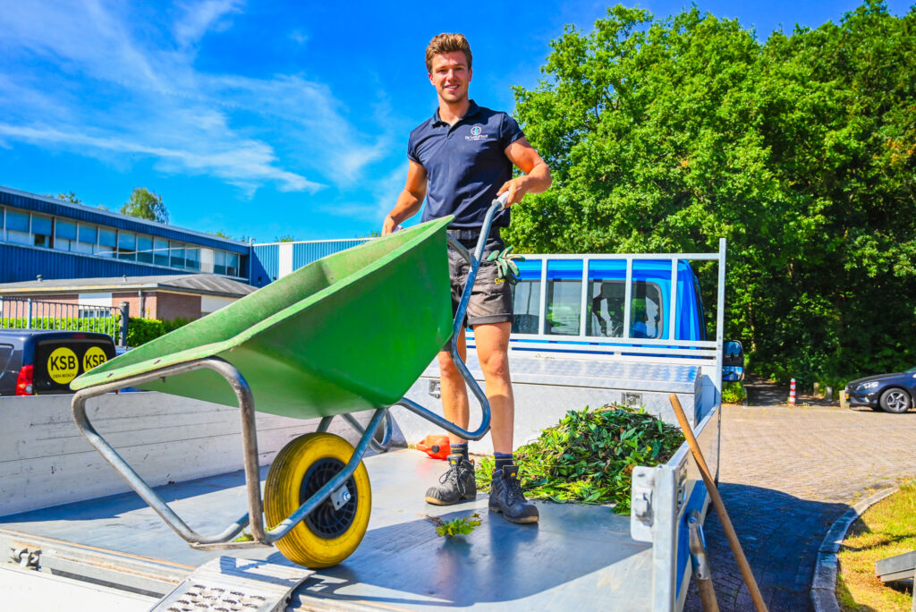 Werken in het zonnetje - vakantiebaan in het groen