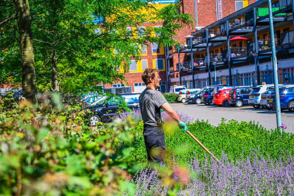 Leerling hovenier BBL aan het werk in het groen