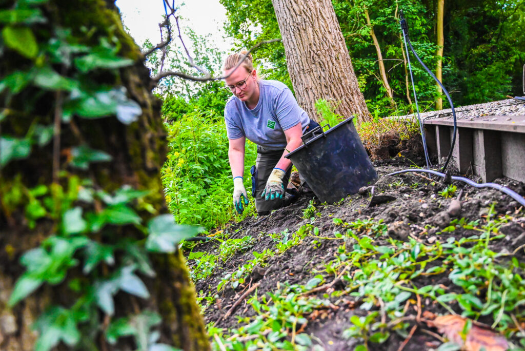 creativiteit gebruiken – bijbaan hovenier – baneninhetgroen