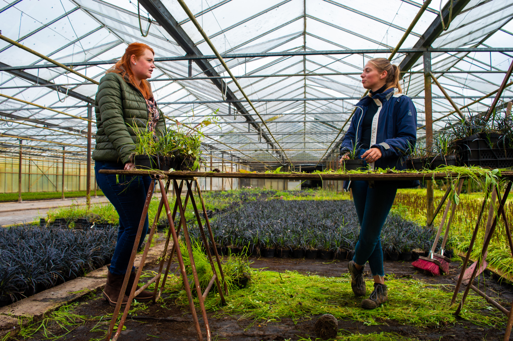 Intercedent in gesprek op een kwekerij