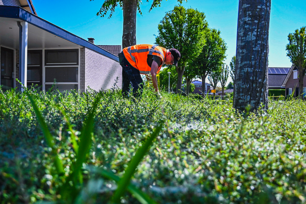 Medewerker groenvoorziening aan het werk in de wijk, vacatures groenvoorziening apeldoorn