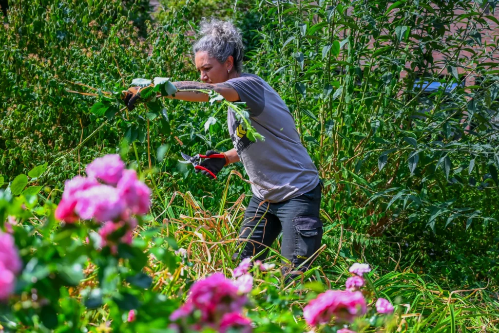 Hovenier onderhoud aan het werk