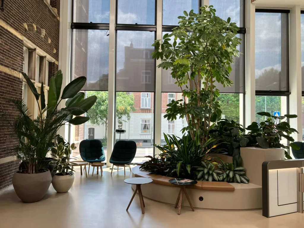 Werken als medewerker interieurbeplanting