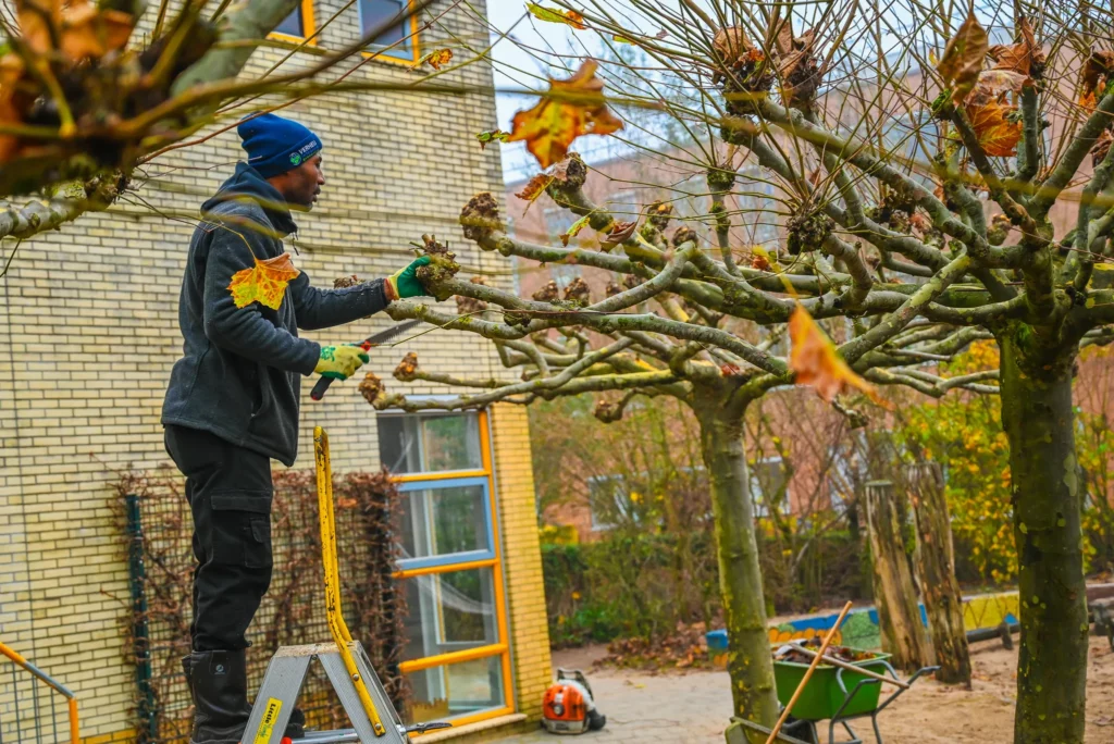 werken als zijinstromer hovenier