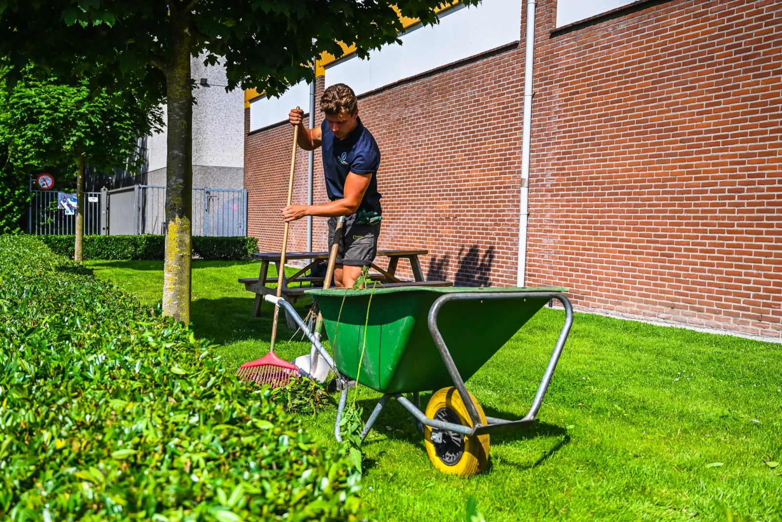 Groene vakantiebaan: vakantiewerk in de groensector