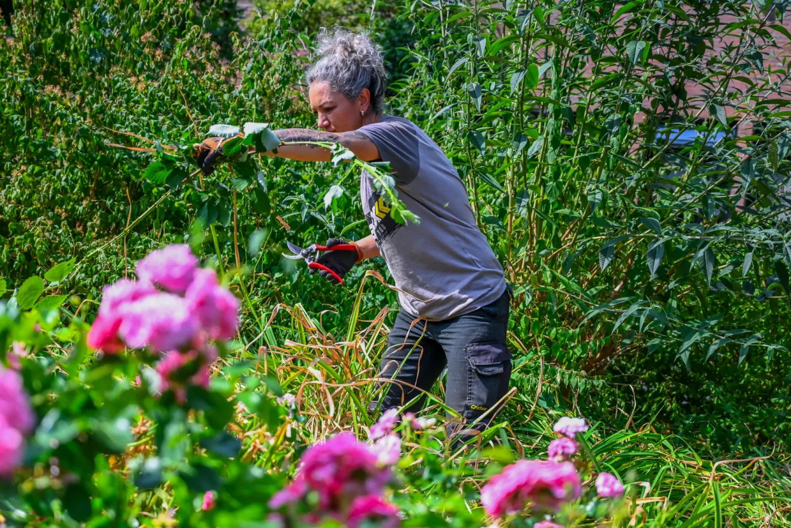 Groene baan: groenvoorziener aan de slag met groenonderhoud in Den Haag