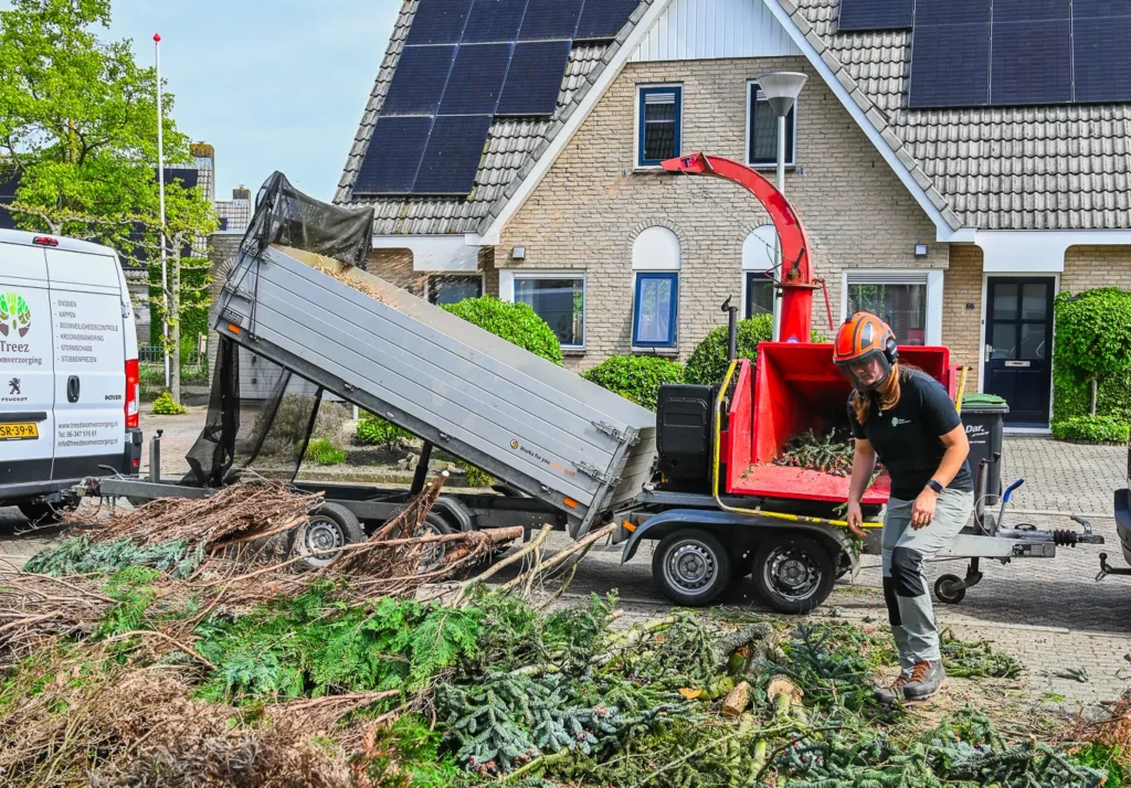 Grondman boomverzorger aan het werk, versnipperen van takken
