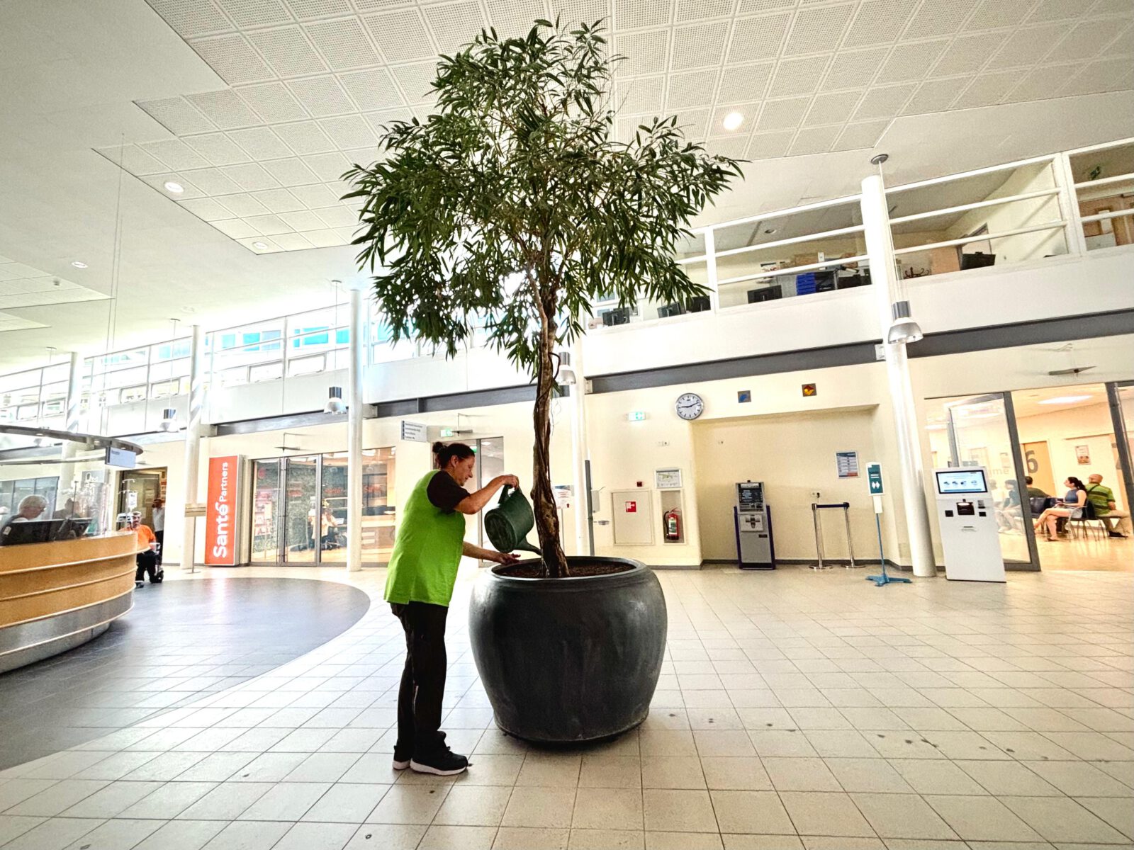 Medewerker Interieurbeplanting aan het werk in het ziekenhuis