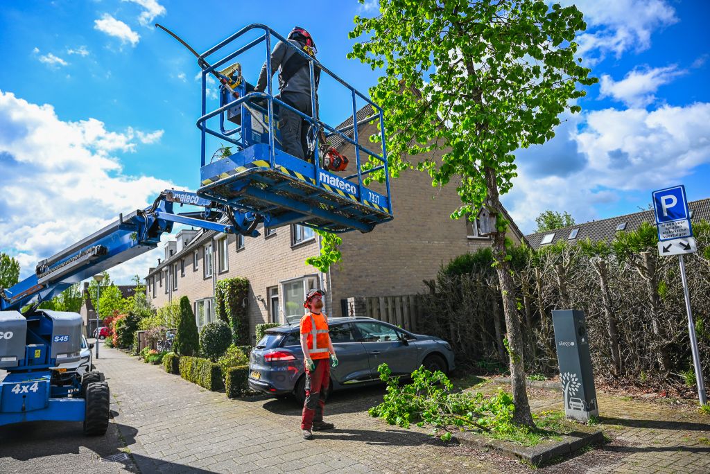 Boomverzorger en grondman boomverzorger aan de slag in de wijk