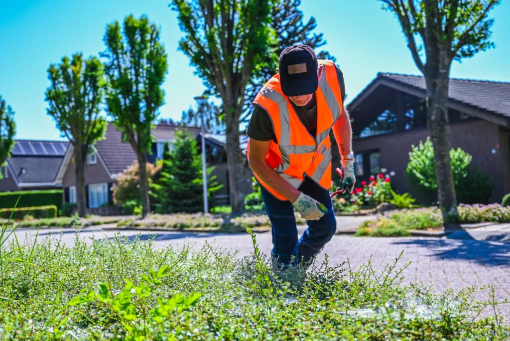De groene sector in het voorjaar