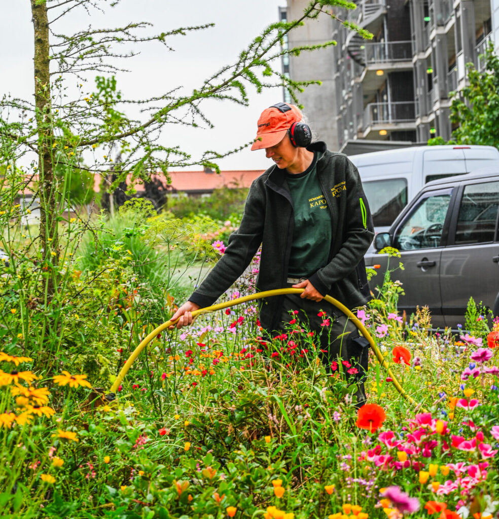 Creatieve projecten: hovenier onderhoud
