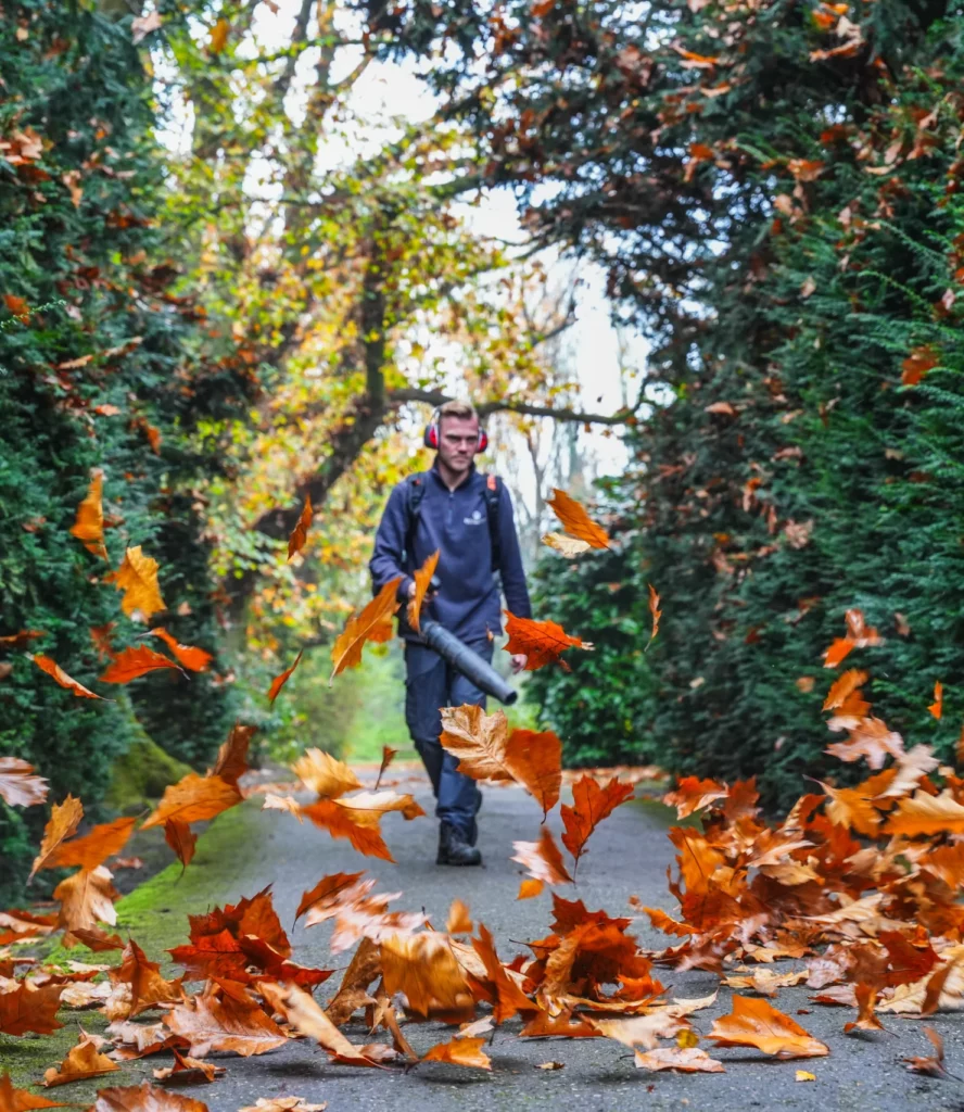 voordelen werken in het groen