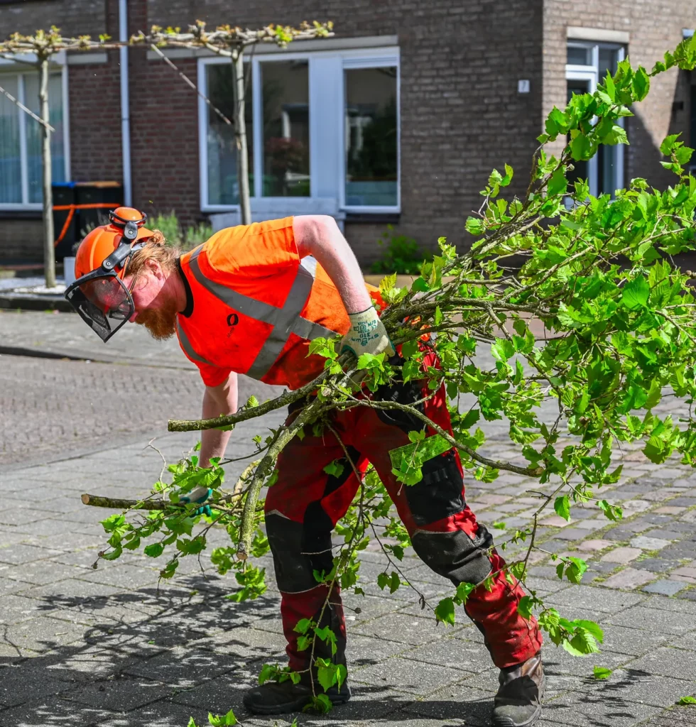 groenvoorziening in loondienst