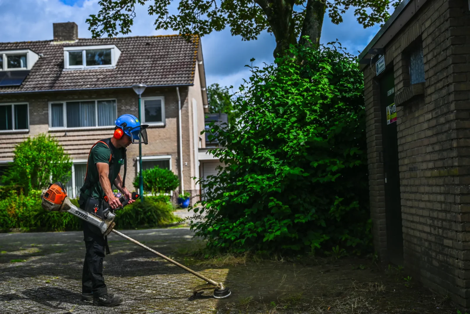 Klimaatverandering