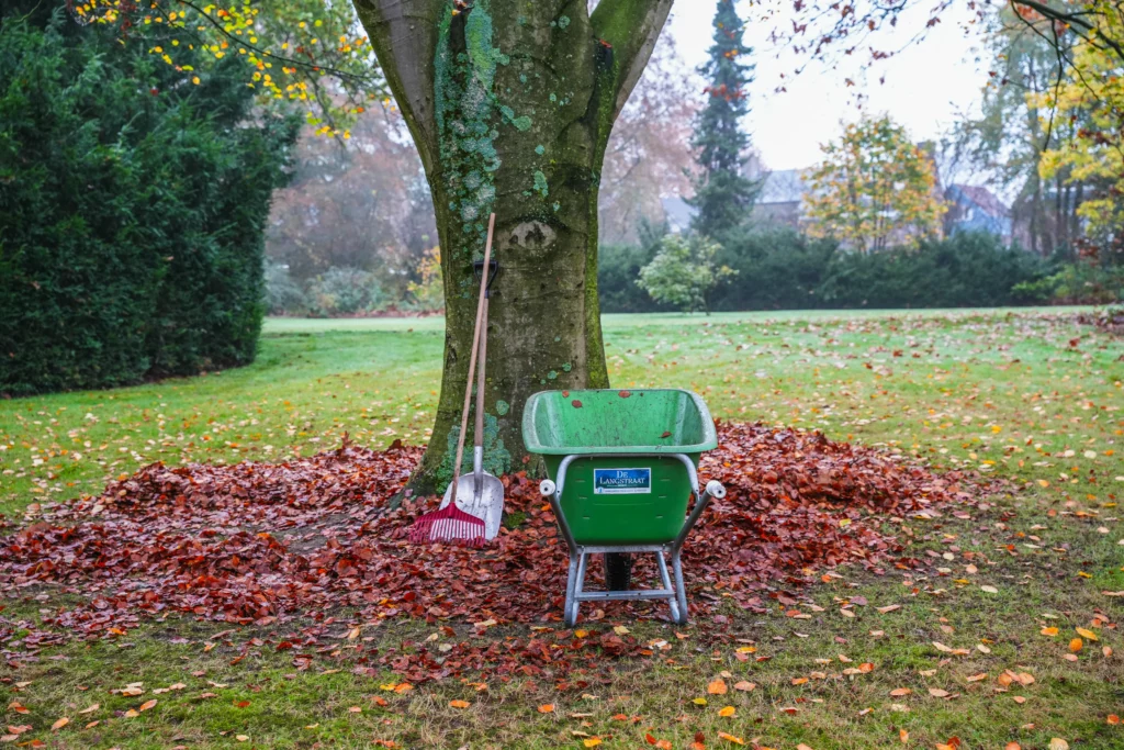 Klimaatverandering en kansen groensector