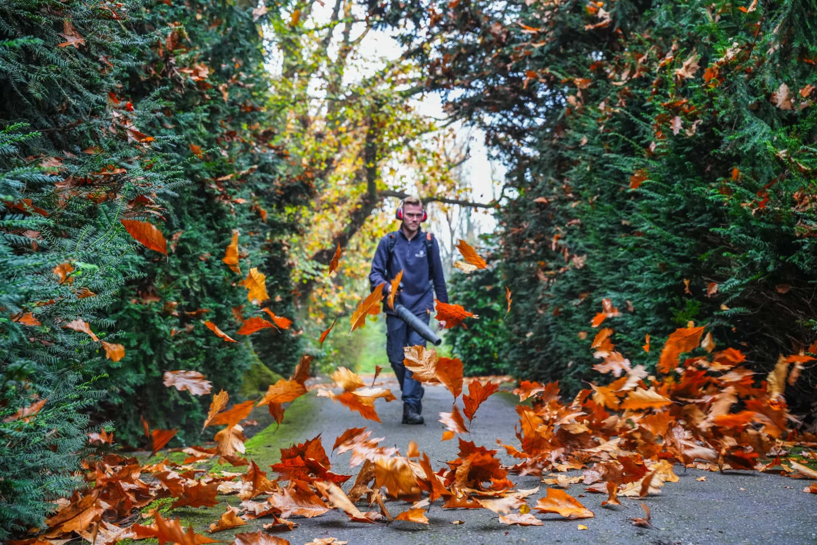 herfst werkzaamheden