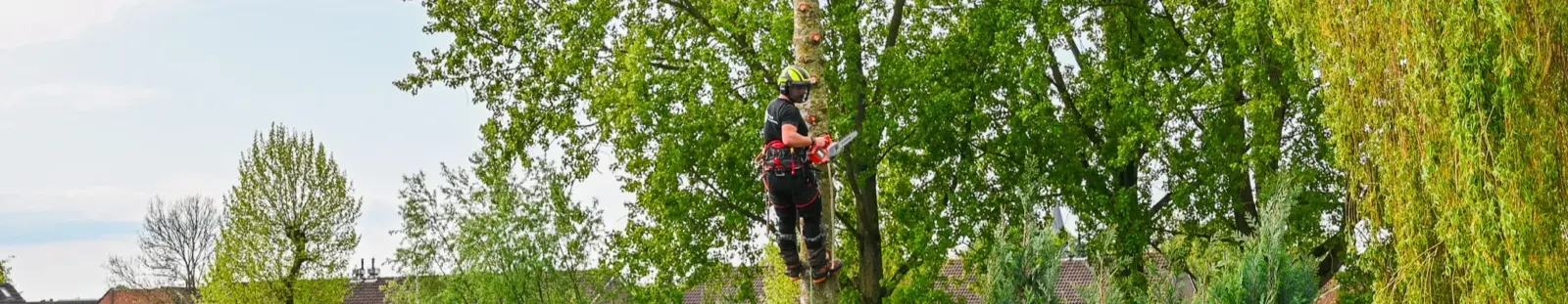 Ervaren boomverzorger ETW in Drunen