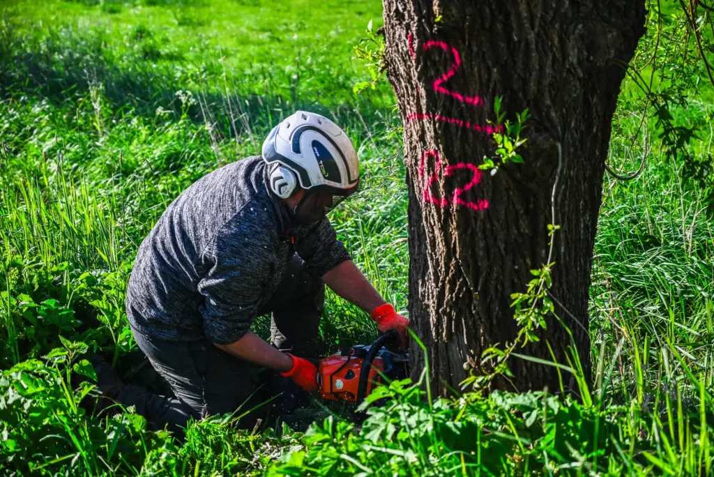 Boomverzorger ETW vaardigheden
