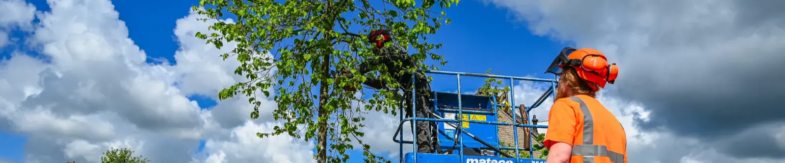 Leerling boomverzorger in Leerdam