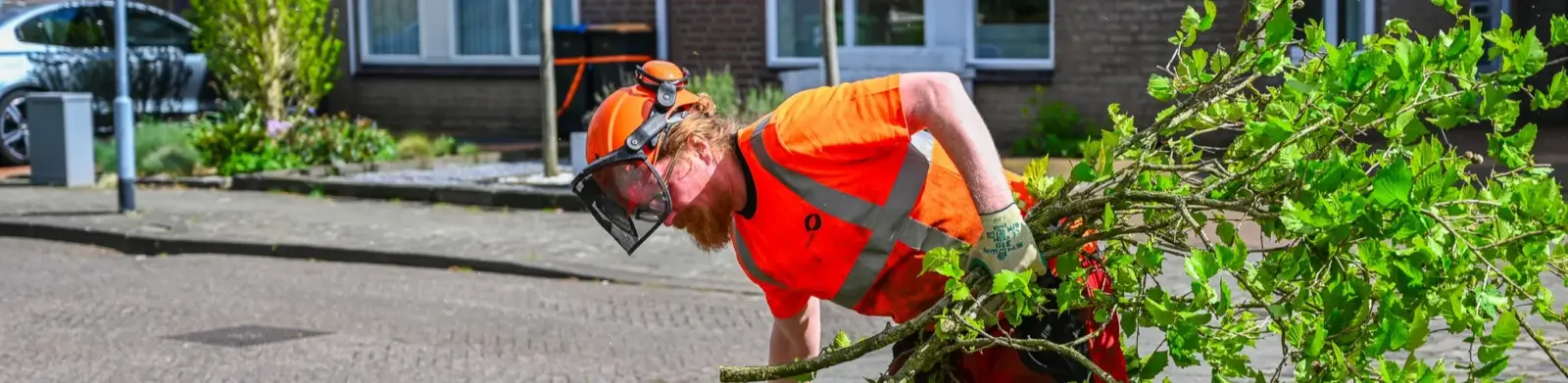 Grondman boomverzorging in Weert
