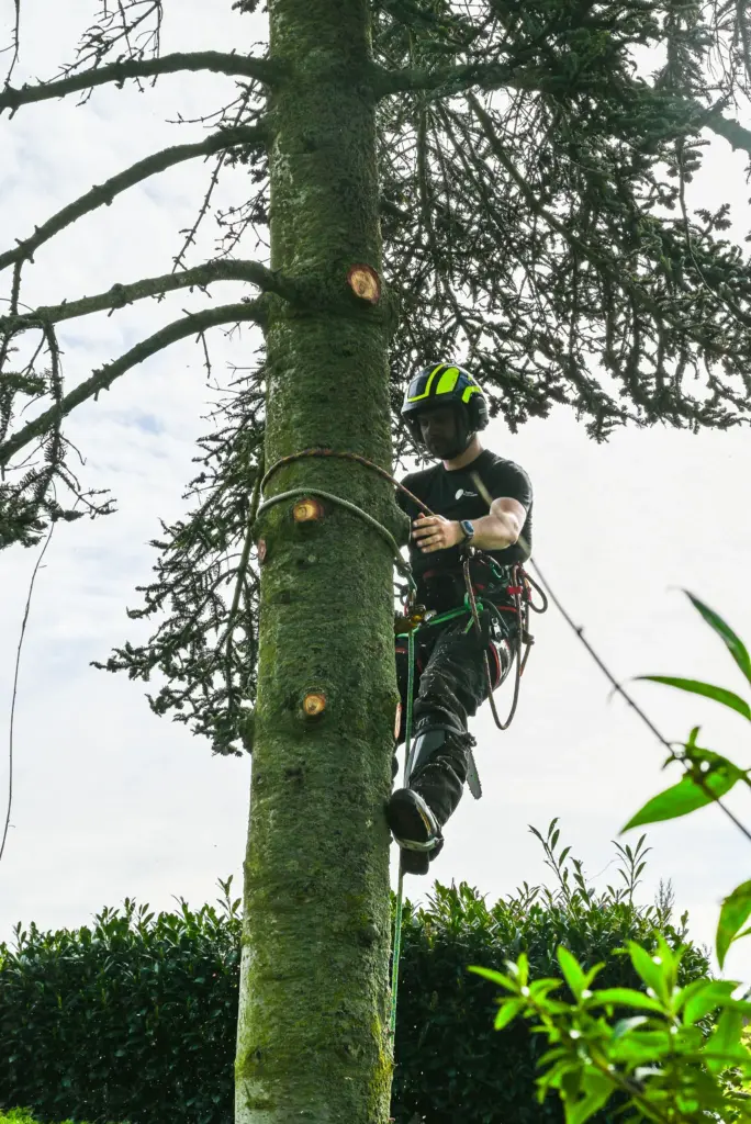 Etw opleiding bij Baneninhetgroen (1)