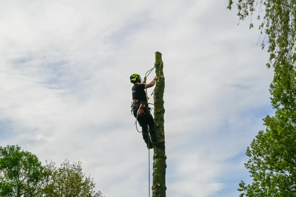 Kosten ETW opleiding
