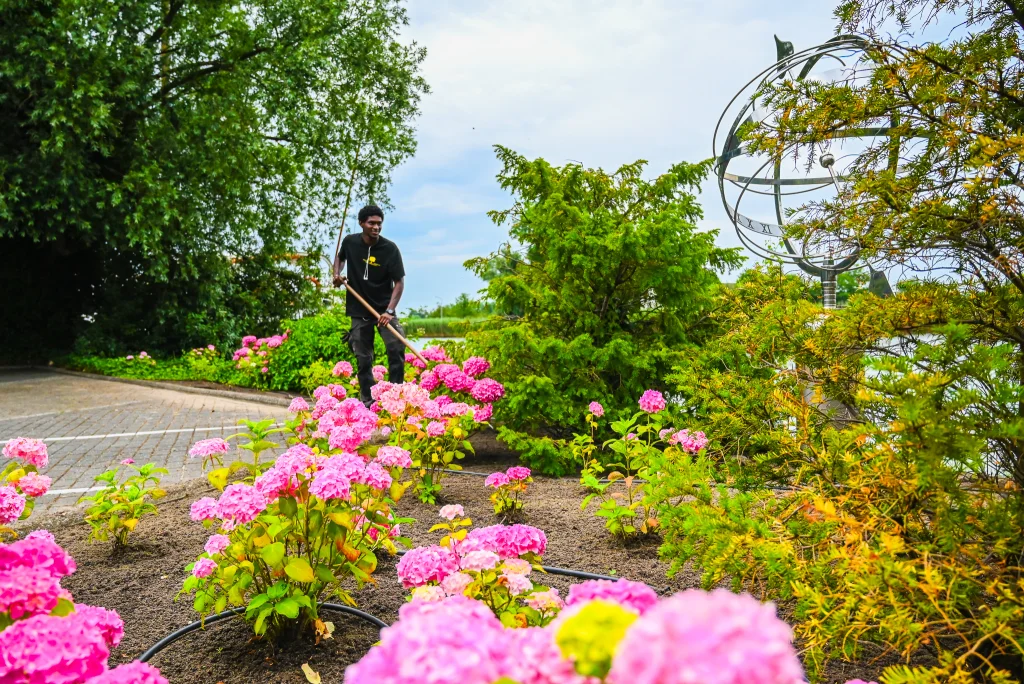 werken in het groen