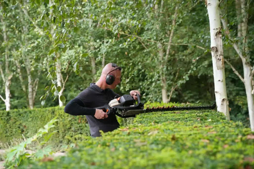 Hoe word ik zij instromer hovenier bij Baneninhetgroen