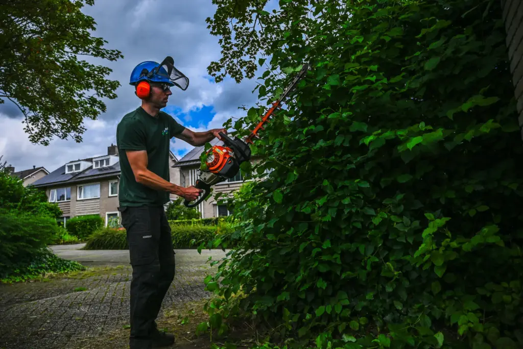 Groenvoorziening vacature Eindhoven