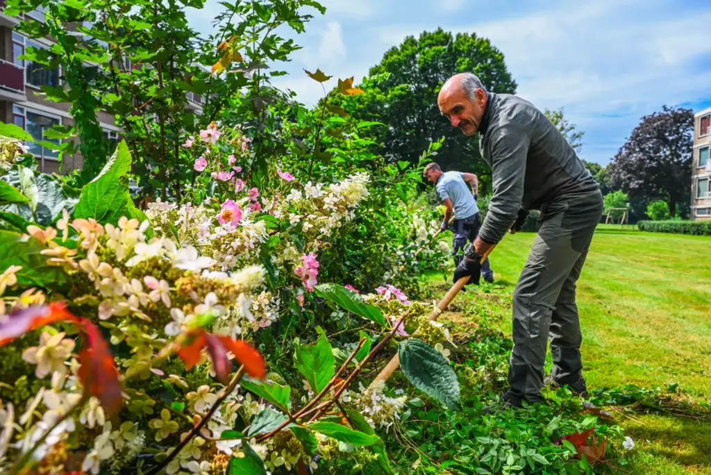 Werken als hovenier