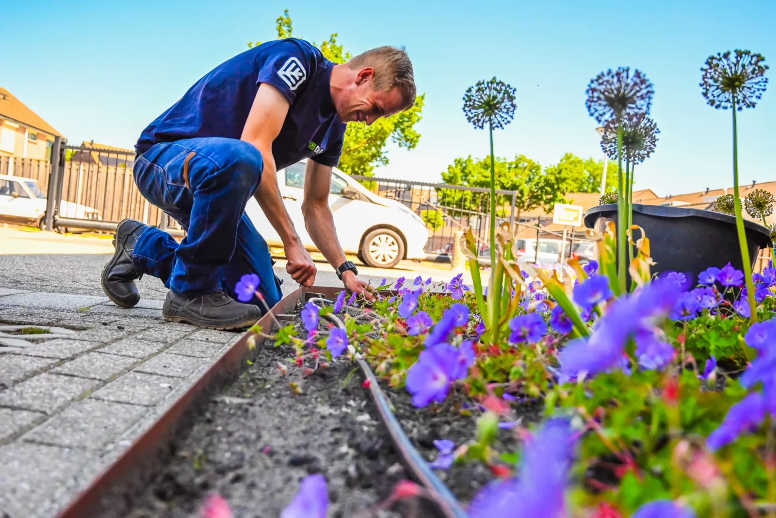 Werken en leren hovenier