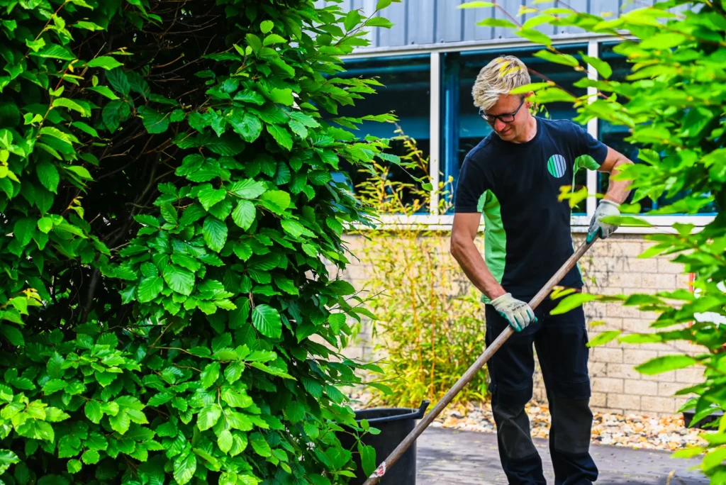 Mbo groen opleiding