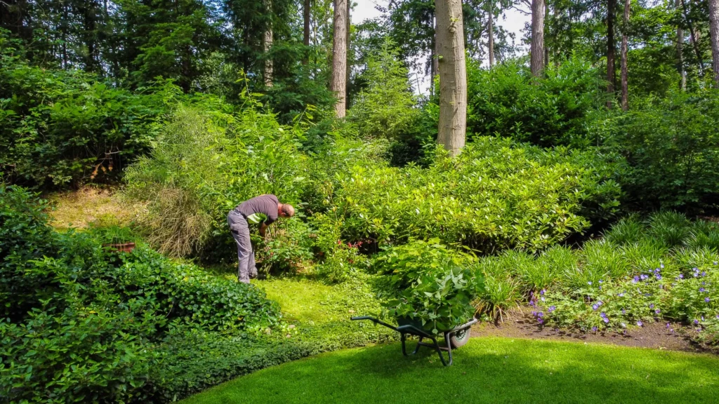 Vacature hovenier