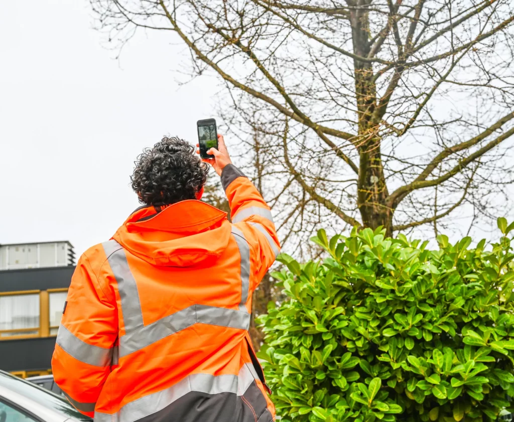 Doorgroeimogelijkheden in het groen
