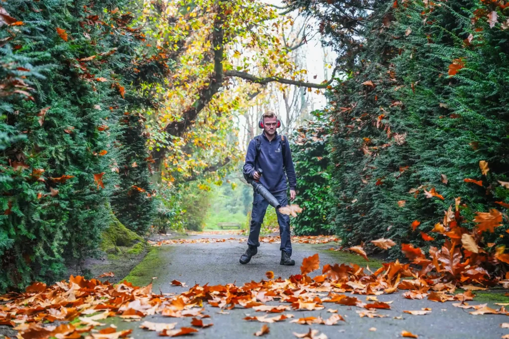 Werken bij Baneninhetgroen als zijinstromer