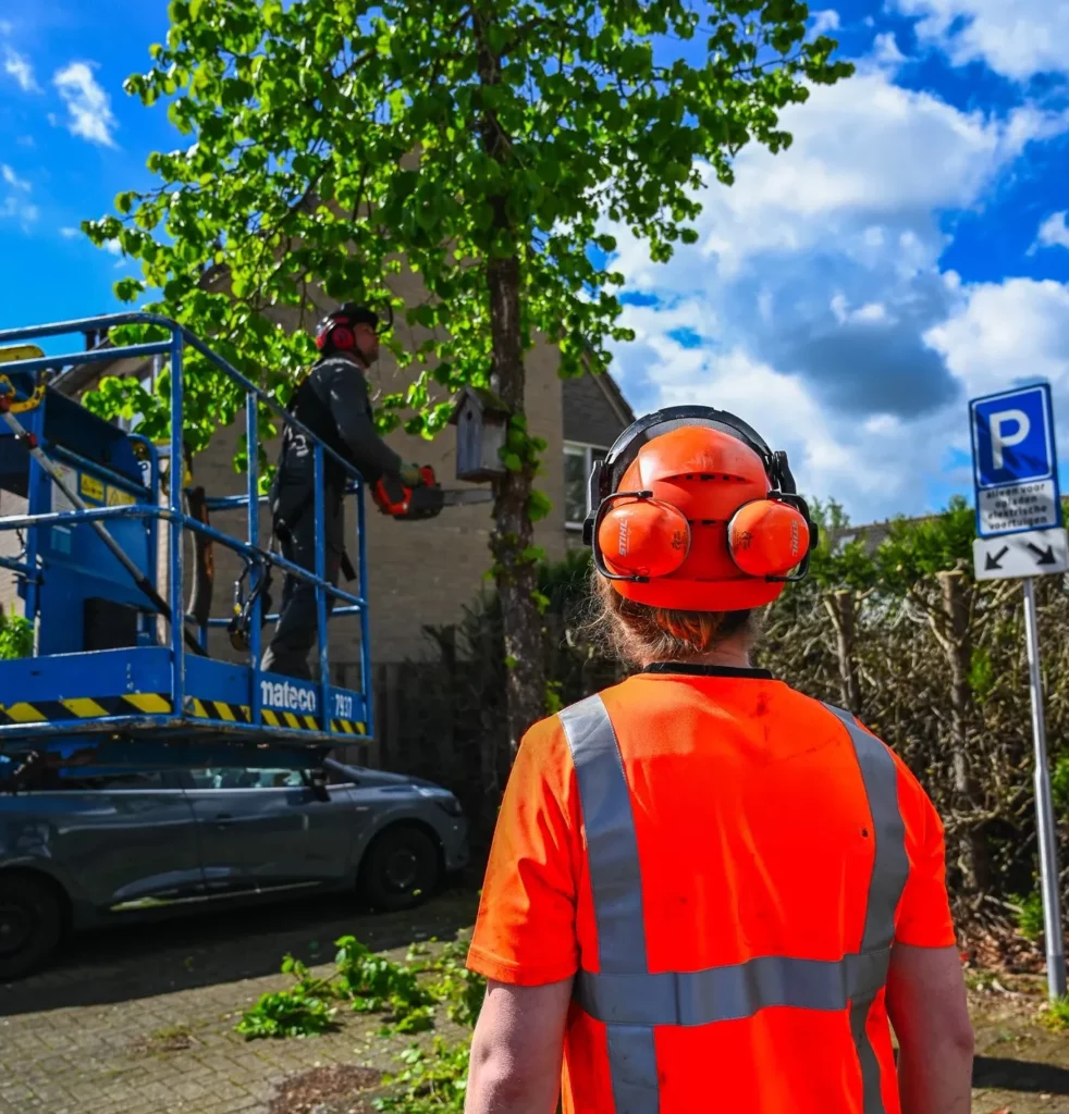 De belangrijkste cao groen grond en infra veranderingen