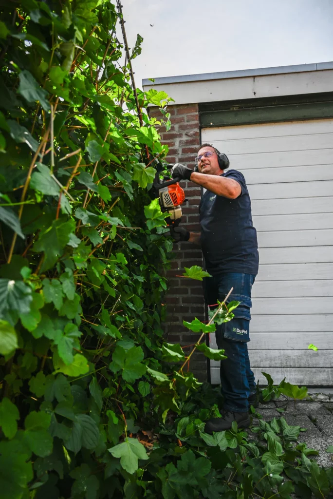 Werken zonder ervaring in het groen