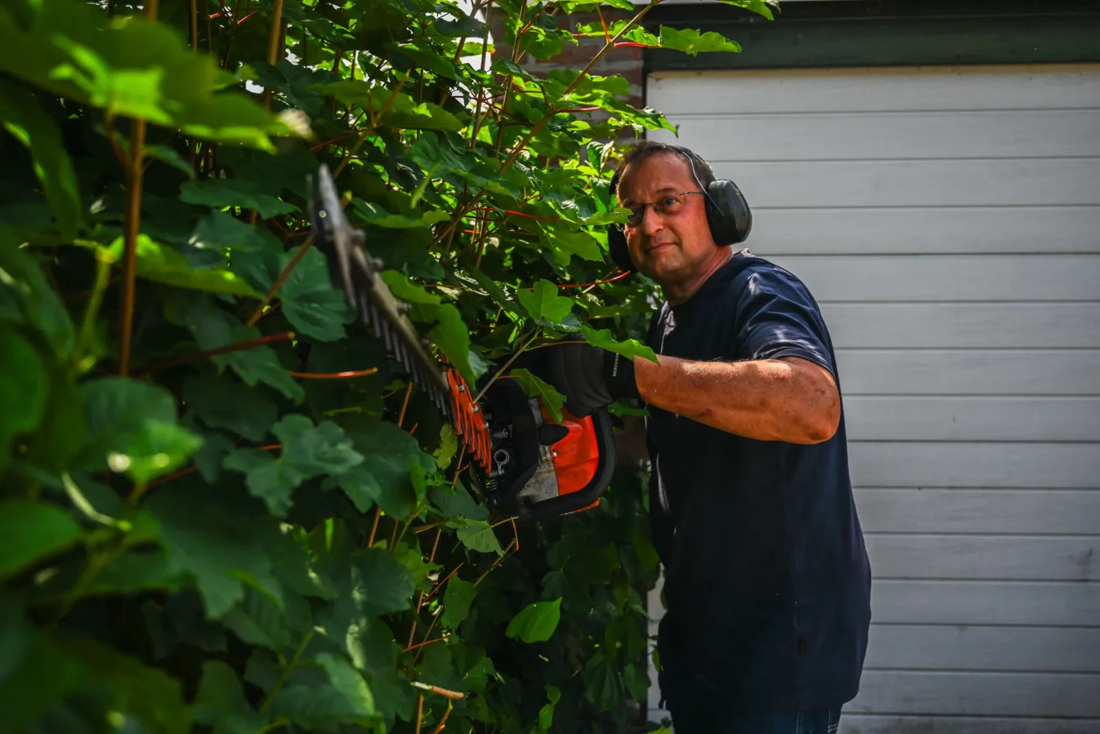 werken in het groen zonder ervaring