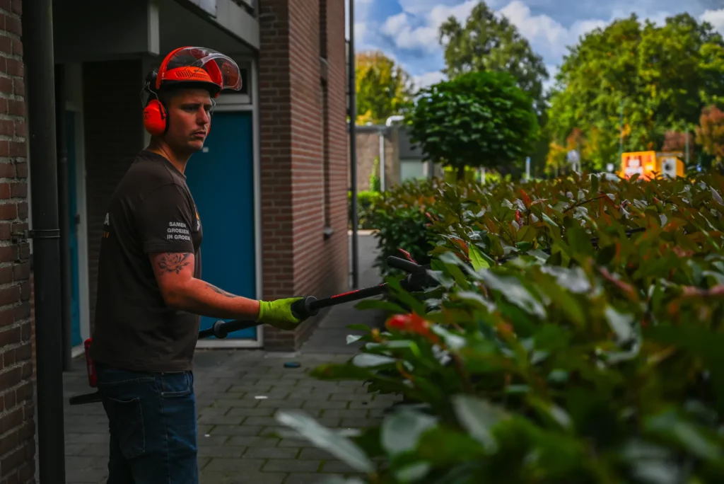 Hovenier onderhoud